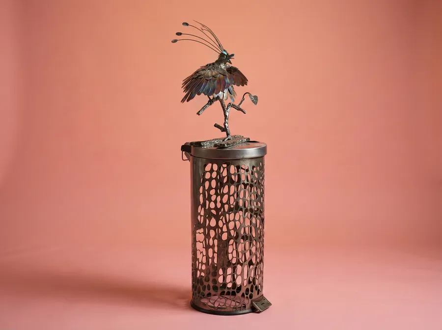 David Attenborough’s Bird of Paradise