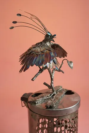 David Attenborough's Bird of Paradise