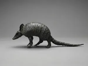 Long-nosed Armadillo