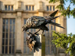 Hawk & Dove, Bristol University