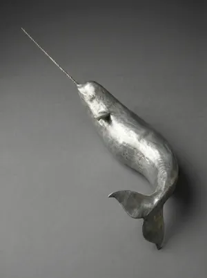 Narwhal