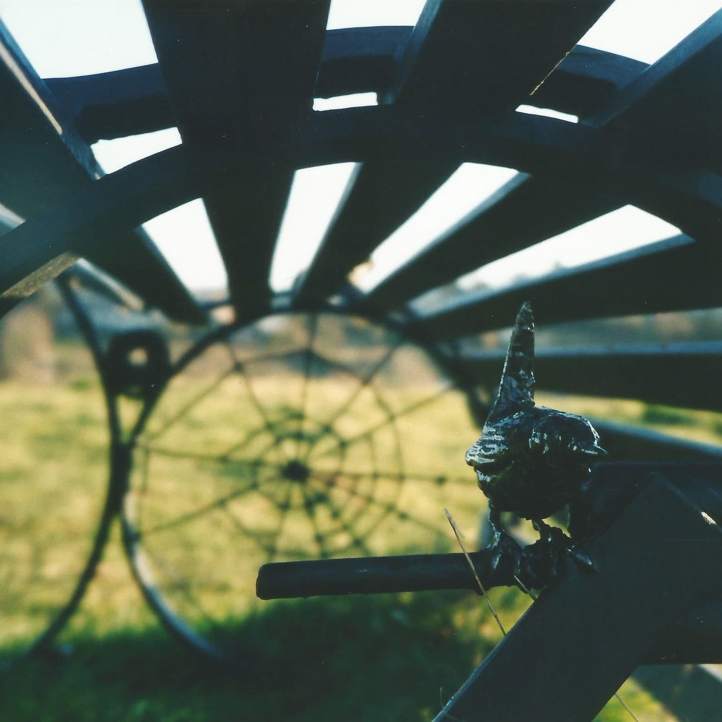 The Robin perched on the Millenium Bench 