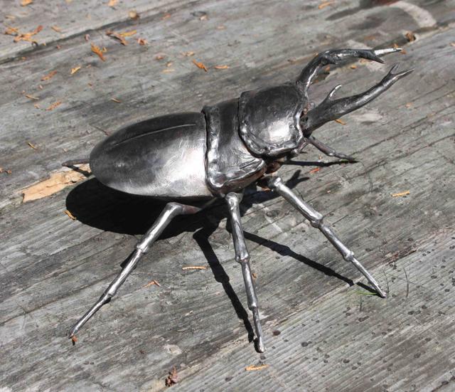 stag beetle.